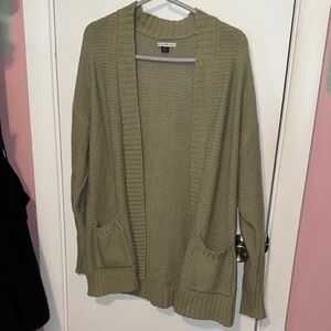 American Eagle Outfitters Sage Green Cardigan